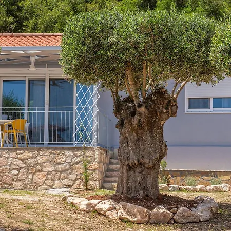 Foki House *