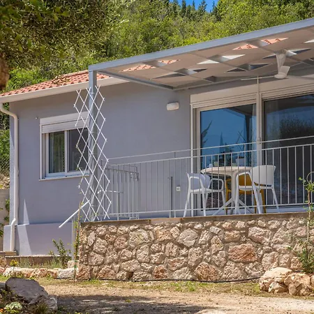 Foki House 피스카던