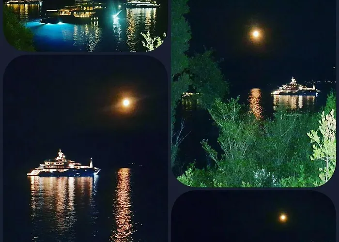 Foki House Lejlighed *